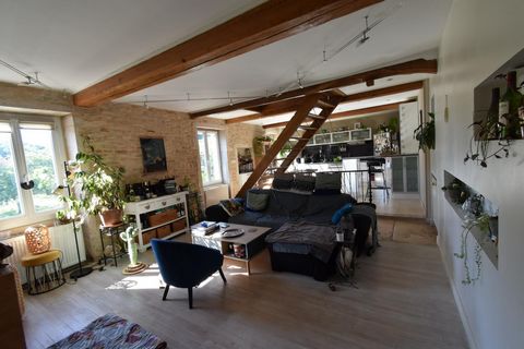 photo no. 7