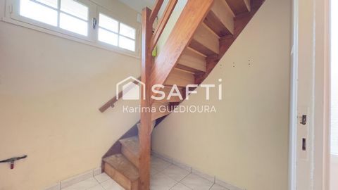 photo no. 6