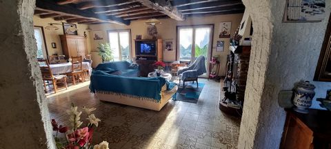 photo no. 10