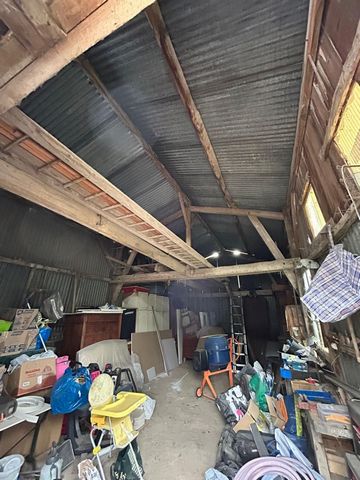 photo no. 3