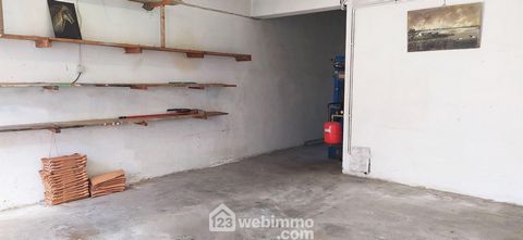 photo no. 9
