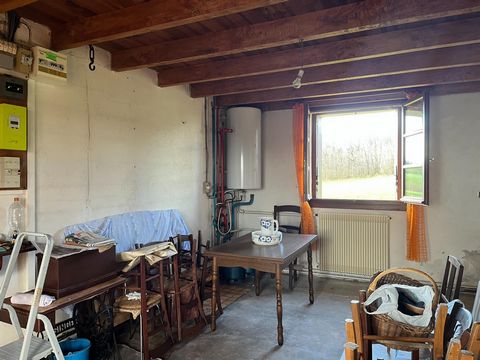 photo no. 8