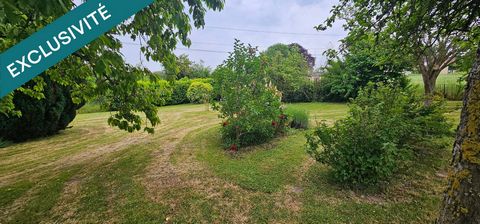 photo no. 11
