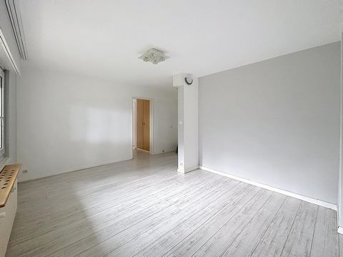 photo no. 13