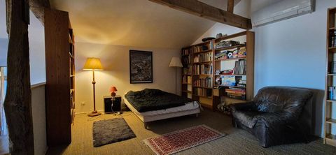 photo no. 11