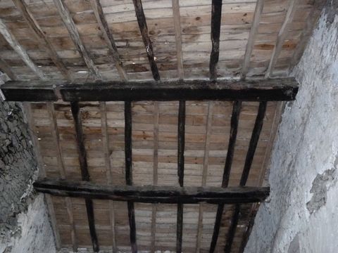 photo no. 19