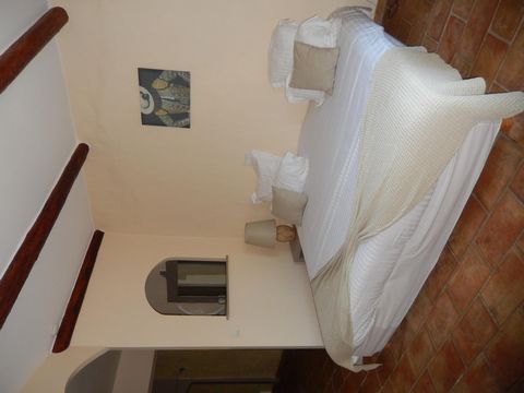 photo no. 10