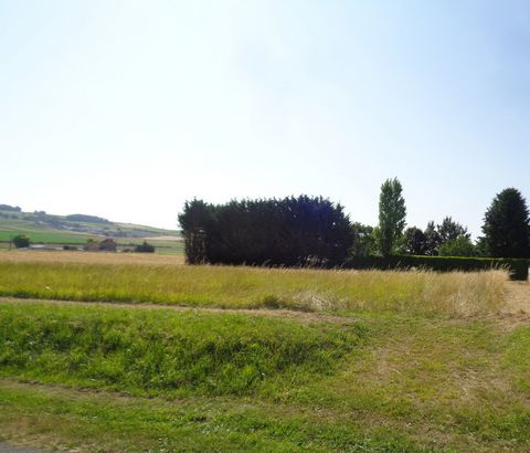 photo no. 1