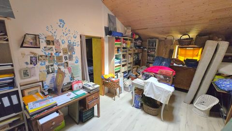 photo no. 15