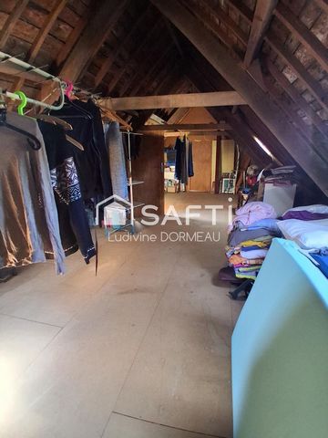 photo no. 8