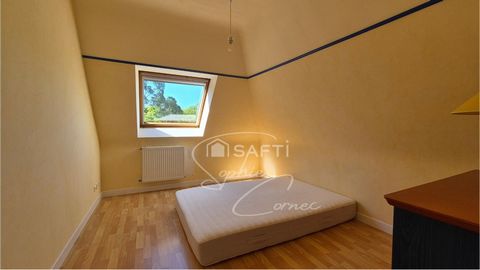 photo no. 11