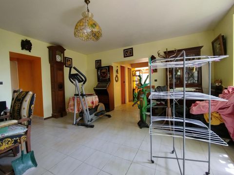 photo no. 2