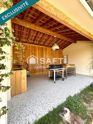 photo no. 17