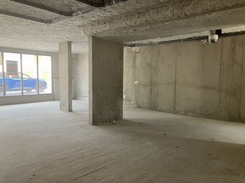 photo no. 9