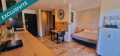 MAGNIFIQUE STUDIO 26 M2 A 3 MINUTES DES PLAGES