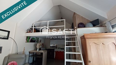 photo no. 10