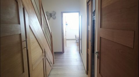 photo no. 10