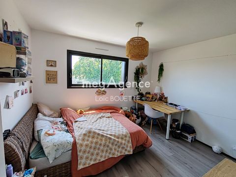 photo no. 7