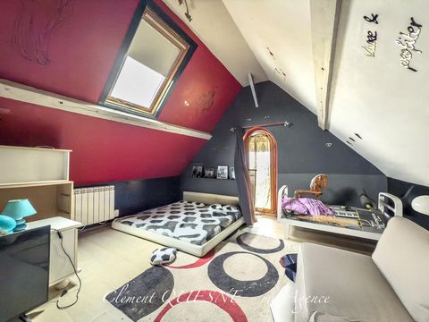 photo no. 11
