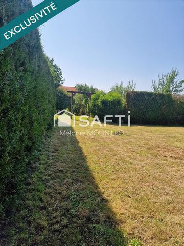 photo no. 17