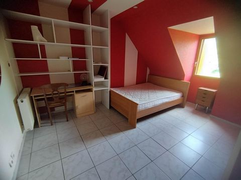 photo no. 6