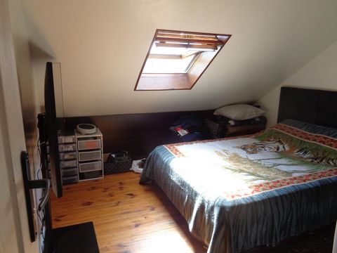 photo no. 10