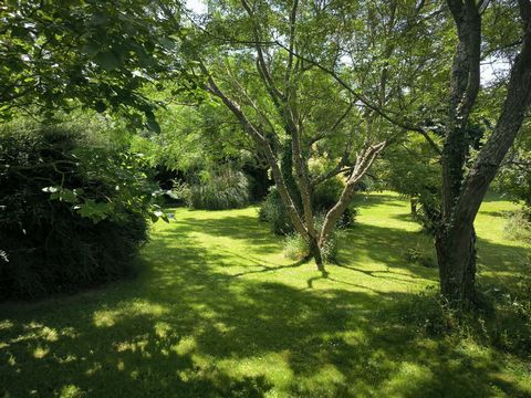 photo no. 2