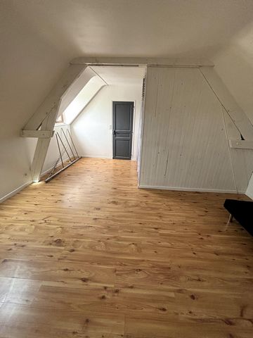 photo no. 11
