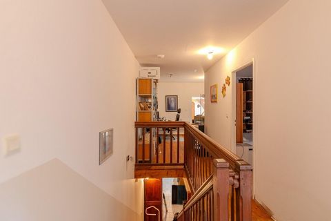 photo no. 12