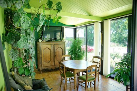 photo no. 7