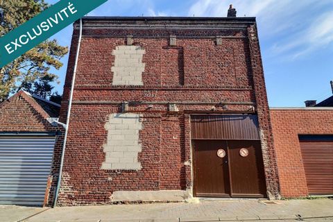 photo no. 13