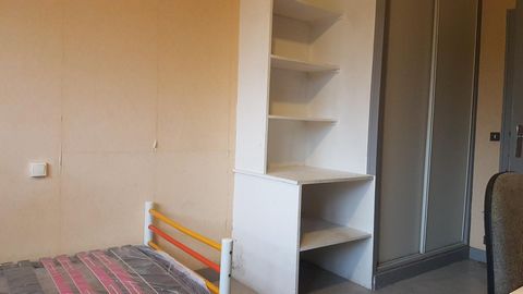 photo no. 3
