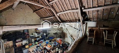 photo no. 12