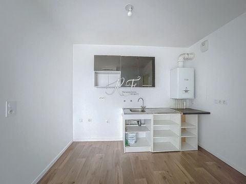 photo no. 6