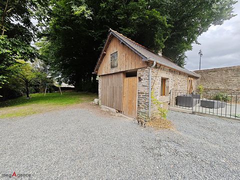 photo no. 13