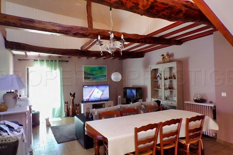 photo no. 10