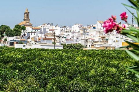 Ubicado en Peñaflor, Santa Ángela de la Cruz ofrece un alojamiento confortable con un encantador patio y wifi gratuito, para que te mantengas conectado durante tu visita. Este acogedor apartamento con aire acondicionado cuenta con dos dormitorios bie...