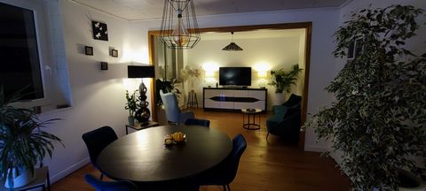 photo no. 13