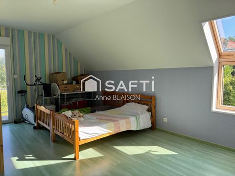 photo no. 18
