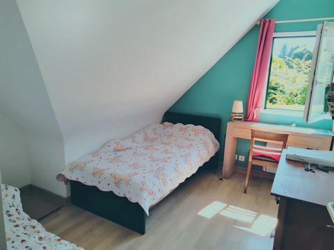 photo no. 8