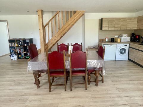 photo no. 15