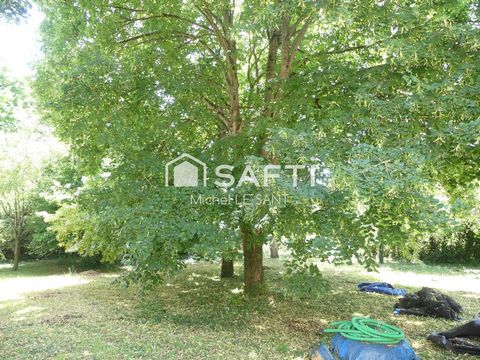 photo no. 11
