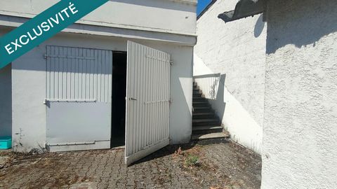 photo no. 11