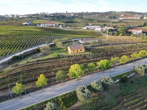 Quinta com Moradia e Armazém em São João da Pesqueira Localizada na encosta na margem sul do rio Douro, dotada e enquadrada no cenário idílico que é o Douro, esta propriedade é uma excelente oportunidade de negócio, sendo provido pelo PDM de terreno ...