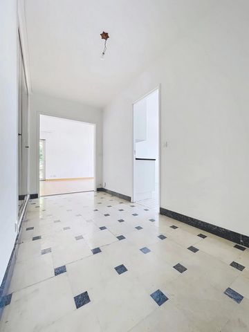 photo no. 8