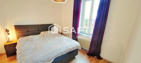 photo no. 11
