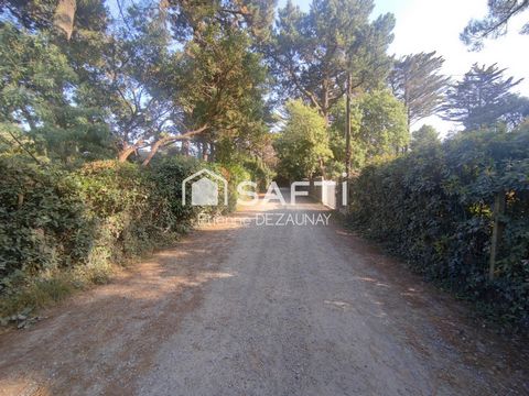 Proche plages des dames, Bois de la Chaise