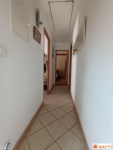 photo no. 11