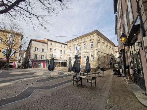 Grand appartement centre-ville 80m2