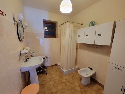 photo no. 19